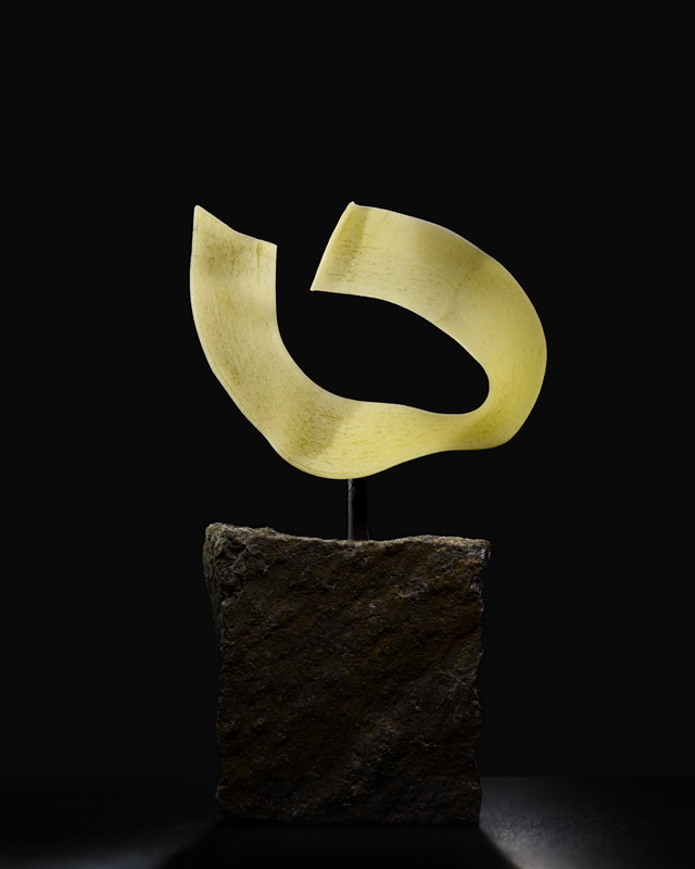 Prix de la Photographie Paris 2009