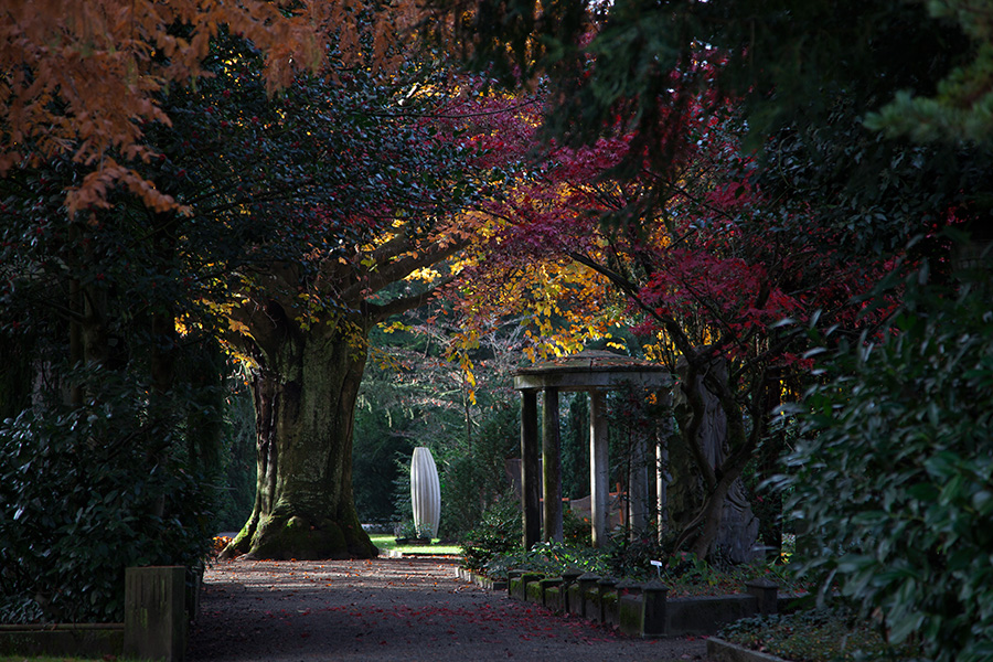 The green oasis in Zurich