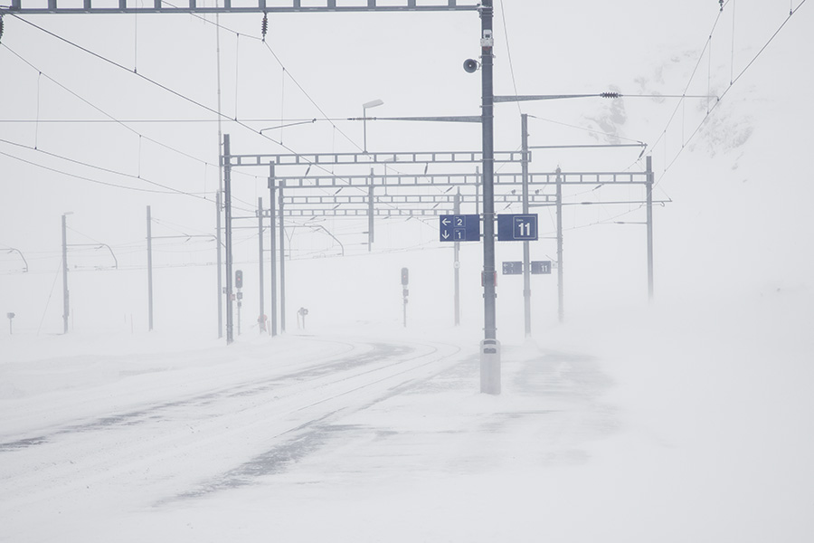 In the blizzard